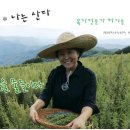 꽃차와 산야초 이미지