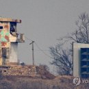 대남