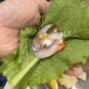대성회센타 - 통영시 북신시장1길 53 | 대성회센타