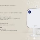 호원 태권도장 이미지