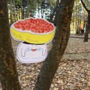 그림책 음악 숲:그림책과 음악의 만남 이미지