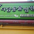 디딤동물병원