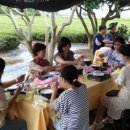 보성백록다원 이미지