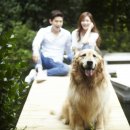 엘하우스스튜디오