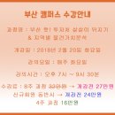 부산의 지역별 부동산 분석 이미지