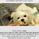 송하동물병원 이미지