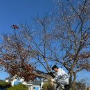 유람스테이 이미지