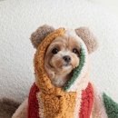 스테이더담 밀양 이미지