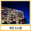 청송 가족여행숙소 소노벨 스위트 스탠다드 더블 객실 후기