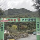송림팜
