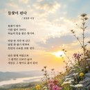 들꽃이 핀다 이미지