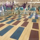 킴스핫요가&필라테스 | 공항동 필라테스 스타일핫요가 필라테스 플레이스 재방문 후기 이야기