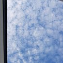 애월의아침 민박 이미지