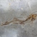 신동집 이미지