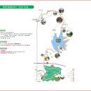팔공산올레길 6코스 | 대구올레 6코스 단산지 가는 길 20260214