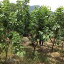 농부의외양간