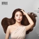인프로페셔널 이미지