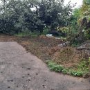 남전농장 이미지