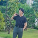 미라클코디 이미지
