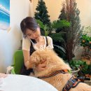 NR-1[계백로]-하-268 | 핫슈의 6월 4주차 주간일기💜