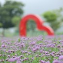 버들공원 이미지