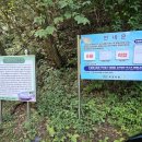 신라샘1 이미지