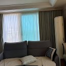 정지뜰스크린 | 우리 집 분위기 싹쓰리 바꿀 최애 커튼 찾으러 출동!