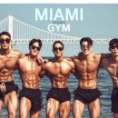 마이애미 휘트니스 헬스 이미지