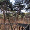 오양상사 이미지