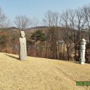 남재 이미지