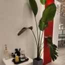 더리터 군산수송점 이미지