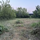 감당농장 이미지