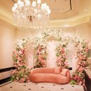 센텀호텔카카오트리 이미지