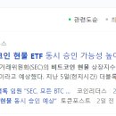 로이물물