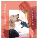 펫힐링센터 이미지