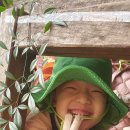 뉴한가람어린이집 이미지