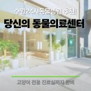 운정24시동물의료센터 | 고양이진료 잘하는 수원24시동물병원,당신의 동물의료센터 병원투어후기