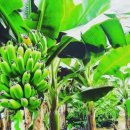 우리농장2 이미지