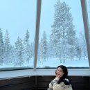 핀란드빌리지 | 핀란드 여행 | 노던라이츠빌리지 사리셀카 후기 (+액티비티, 사우나, 오로라)