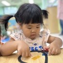 7월 10일 금요일 - 빗방울 선캐쳐를 꾸며요 / 초록별도보미 '공중에서 만나는 작은 숲' 이미지