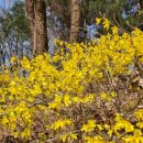 고척LIG리가 2단지 | 구로구 신부관리 드레스 라인의 완성 라붐뷰티 구로점 예신관리 웨딩케어