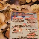 지금조개 이미지