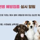 울산동물약국 이미지