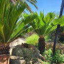 혜명한약국 이미지