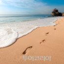 발리 이미지