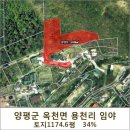 에스디알 이미지