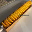 2026 강릉 단오제 4일차 방문 후기 , 추천 맛집 , 각종 놀거리 등