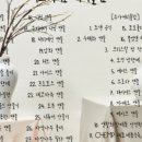 솝앤버블스 이미지