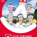 오로라월드(주) 이미지