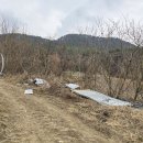 여강길(2코스 세물머리길) 이미지